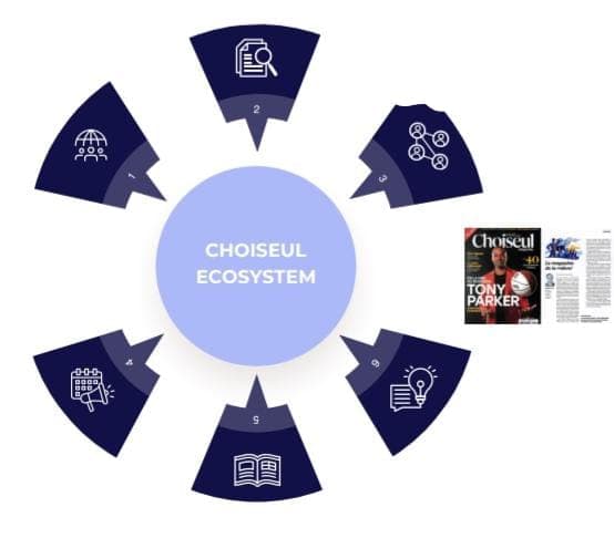 Choiseul Ecosystem Illustration